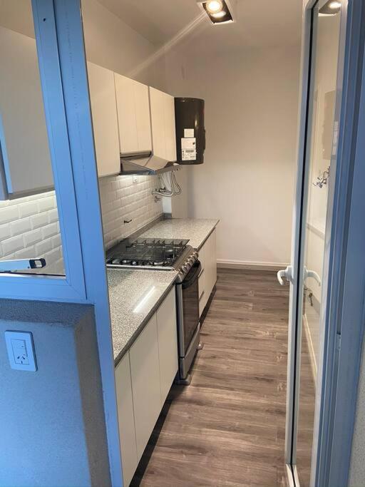 Buenaventura Parque Apartment Mendoza